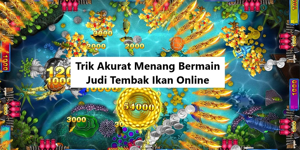 Trik Akurat Menang Bermain Judi Tembak Ikan Online!